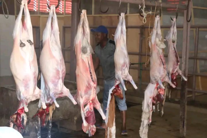 whatsapp image 2026 01 26 at 23.54.37 (1)