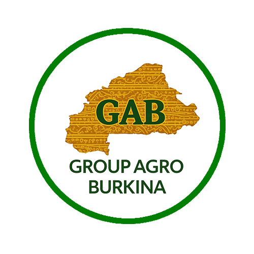 M. Kosnaaba Thierry TIENDREBEOGO