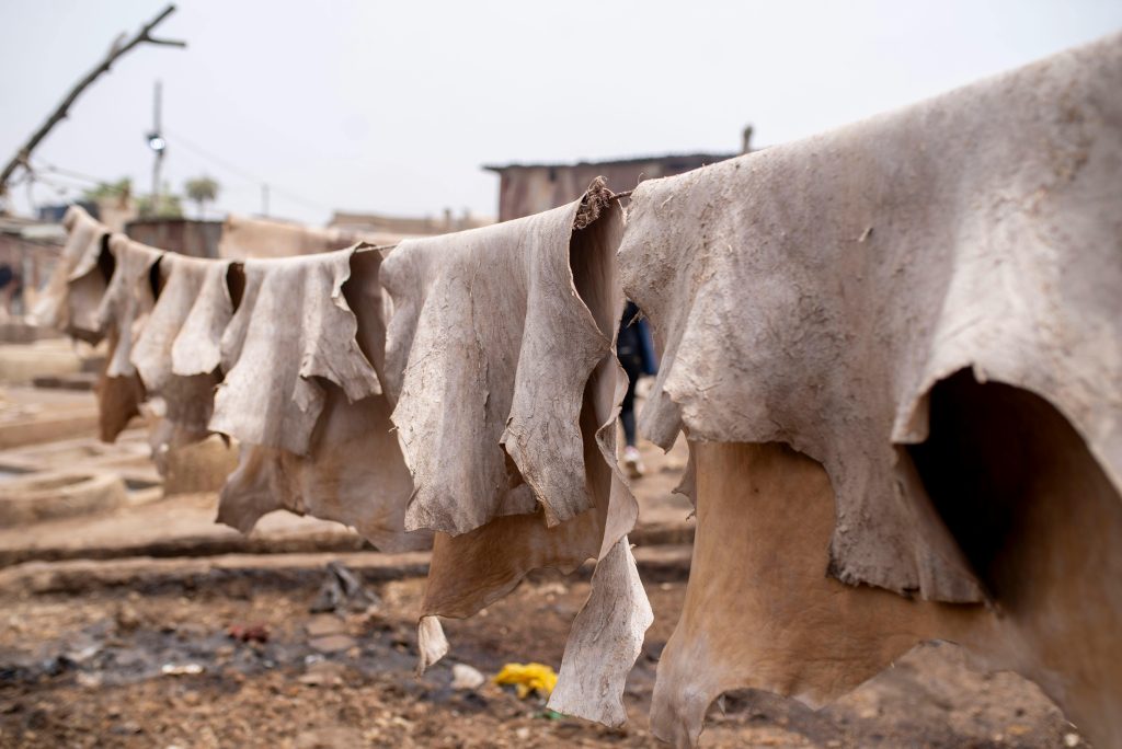 pexels sir mk 2152185199 32076605