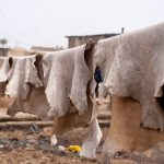 Accueil pexels sir mk 2152185199 32076605