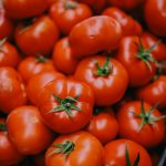 Accueil pexels valeriya 26950754